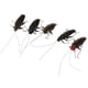 thumbnail image 3 of 5 Piezas Juguetes de Falsos Simulados Juguete de Suministros de Fiesta de Halloween Modelos Educativos Imán de Nevera Cucaracha Baoblaze Decoración realista de insectos, 3 of 7