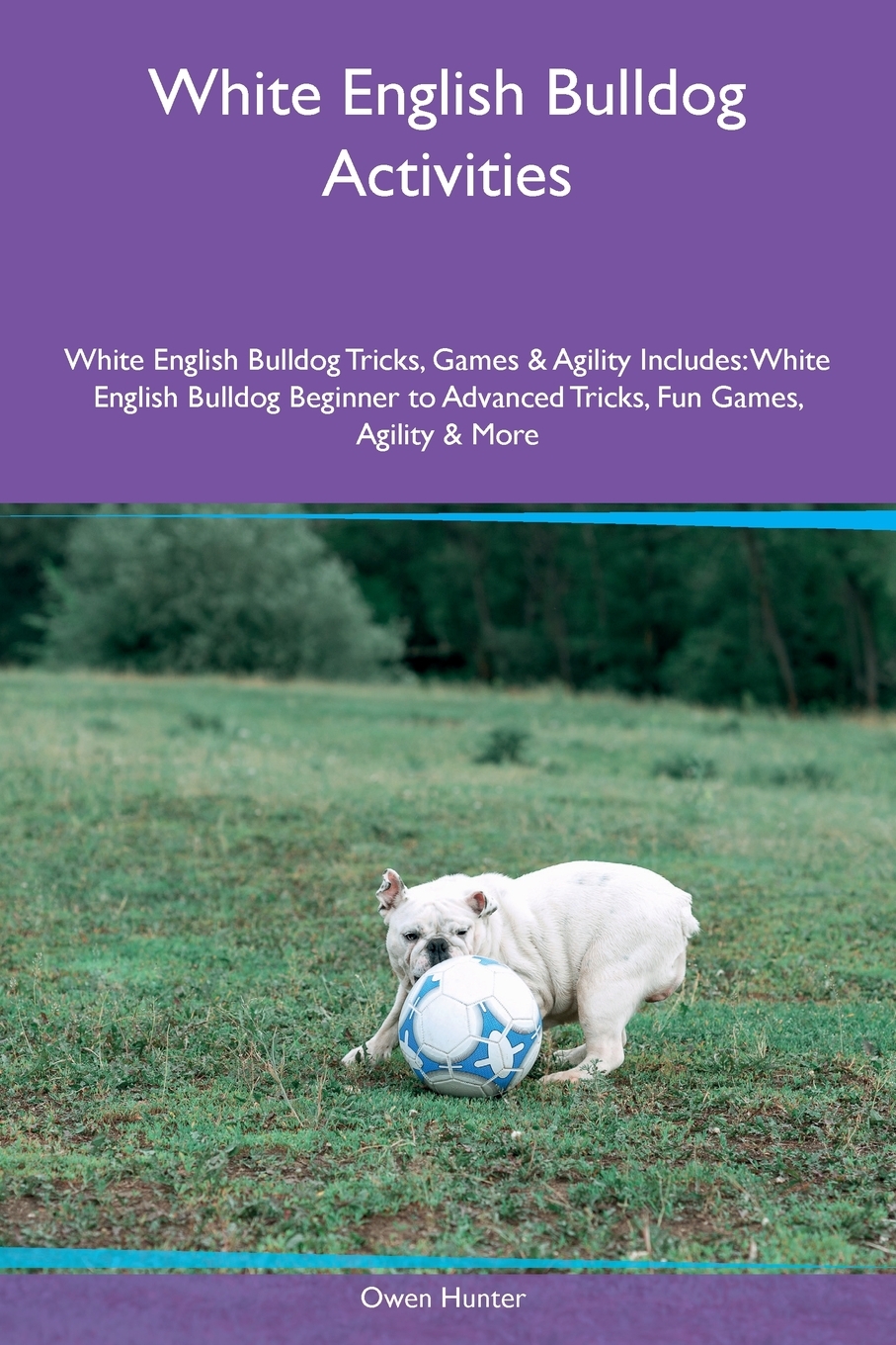 White English Bulldog Activities White English Bulldog Tricks, Games ...