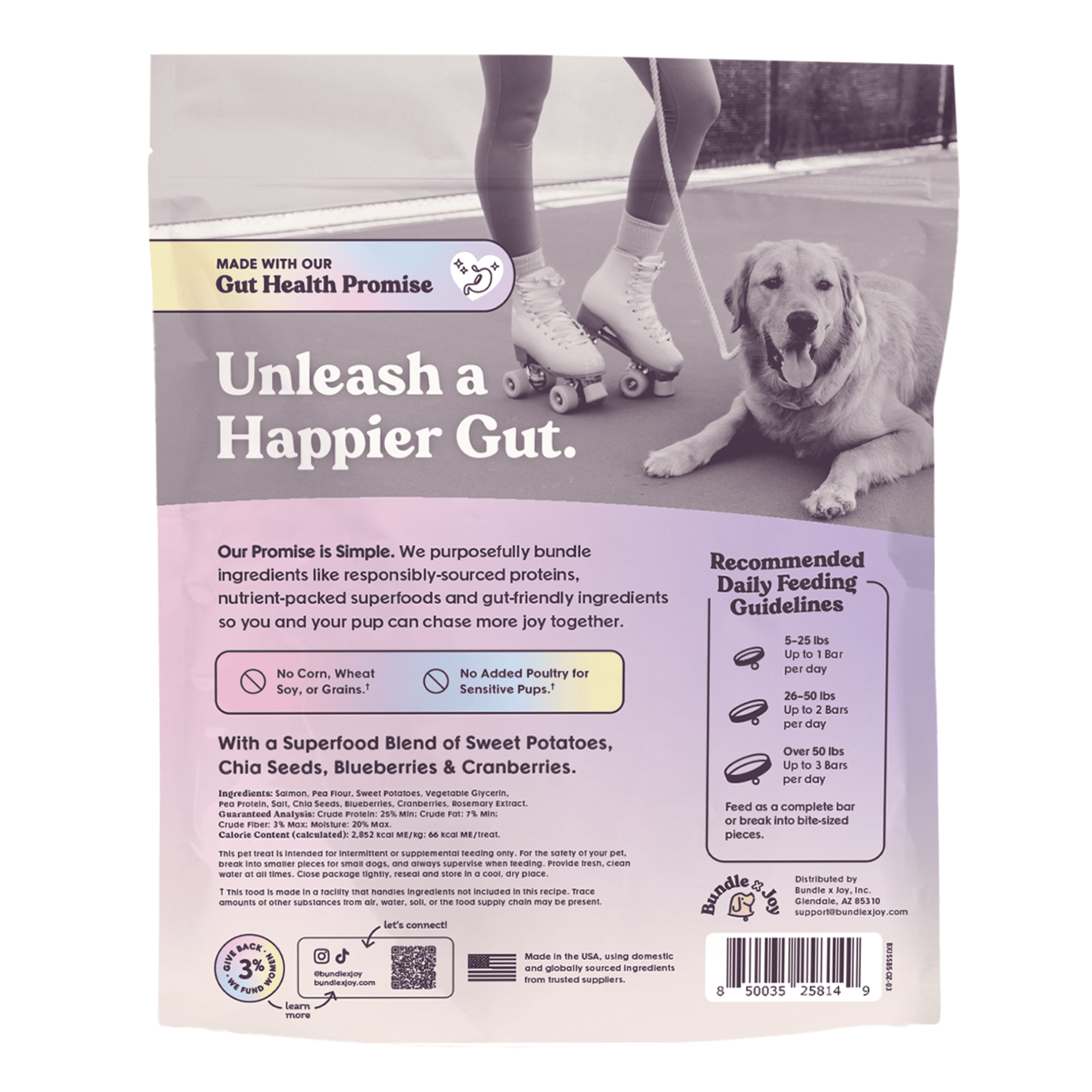 Bundle x Joy Wild-Caught Salmon Jerky Treats for Dogs 16oz