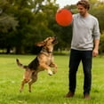 thumbnail image 3 of Pet Toys Rubber Chew Proof Disc for Outdoor Training and Interactive Play Non- Mental Disc, 3 of 4