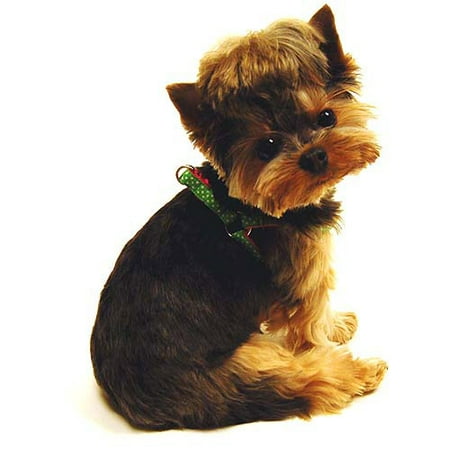 SimplyDog Green Dotty Collar/Harness Bundle