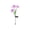 Purple, variant on Eespoir Solar Powered Daffodil Garden Stake Lights, Outdoor Courtyard Lawns Landscapes Decor, Waterproof Ambient Lighting For Garden