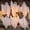 6pcs, variant on Ayieyill Halloween Hanging Ghosts Outdoor Decoration(3 Pack), Cute Flying Ghosts for Halloween Yard Garden Porch Party Decorations