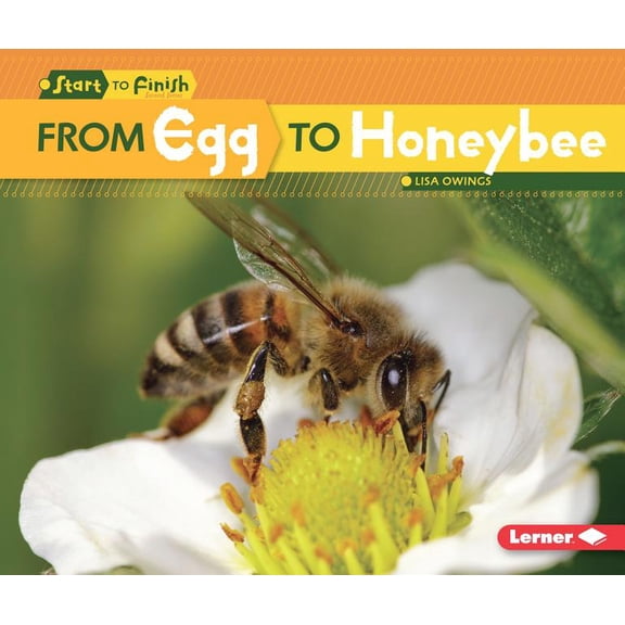 Start to Finish, Second: From Egg to Honeybee (Paperback)
