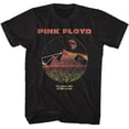 thumbnail image 1 of Pink Floyd Dsotm Rainbow Pyramids Black Adult T-Shirt 4Xl, 1 of 2