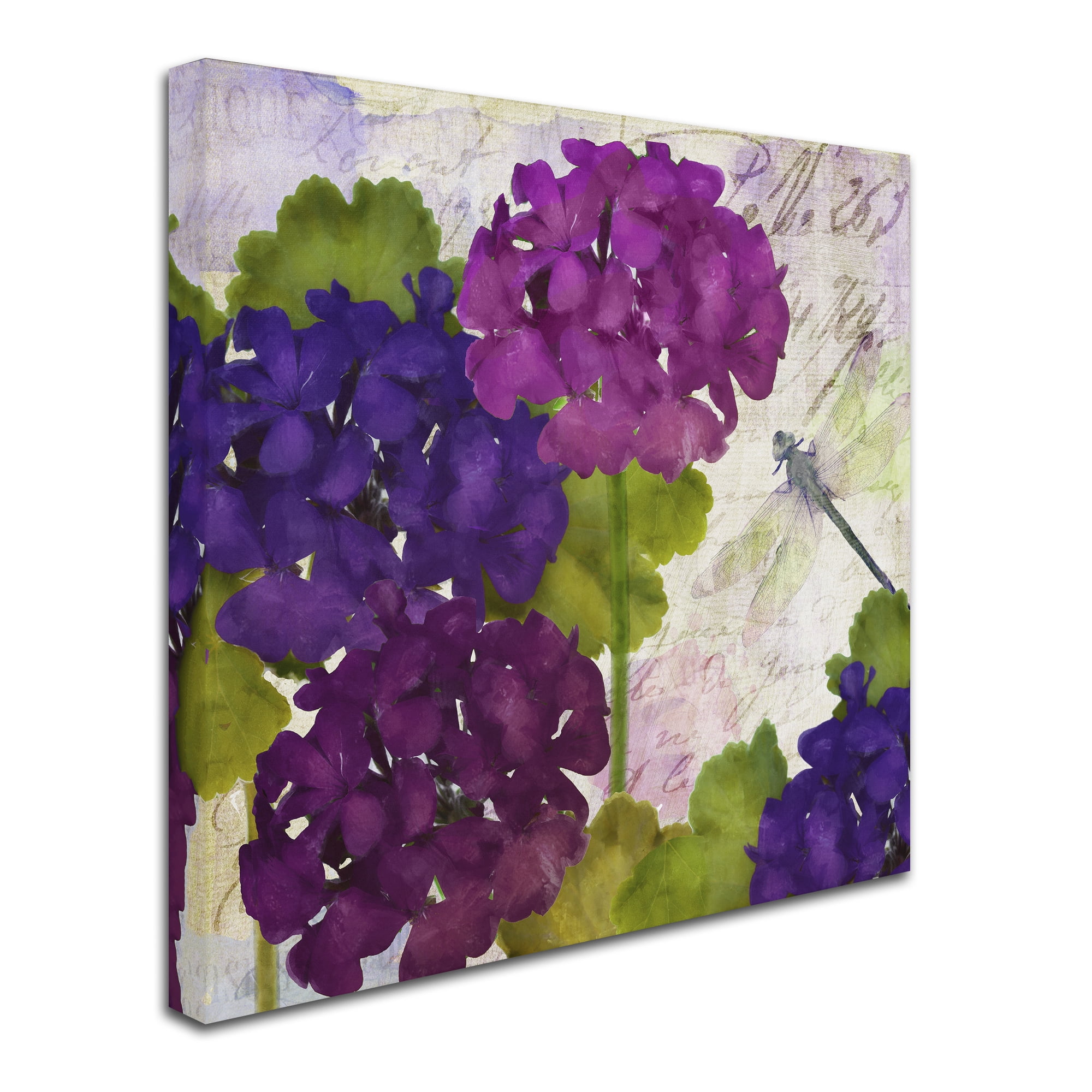 Trademark Fine Art "Gaia II" Canvas Art by Color Bakery