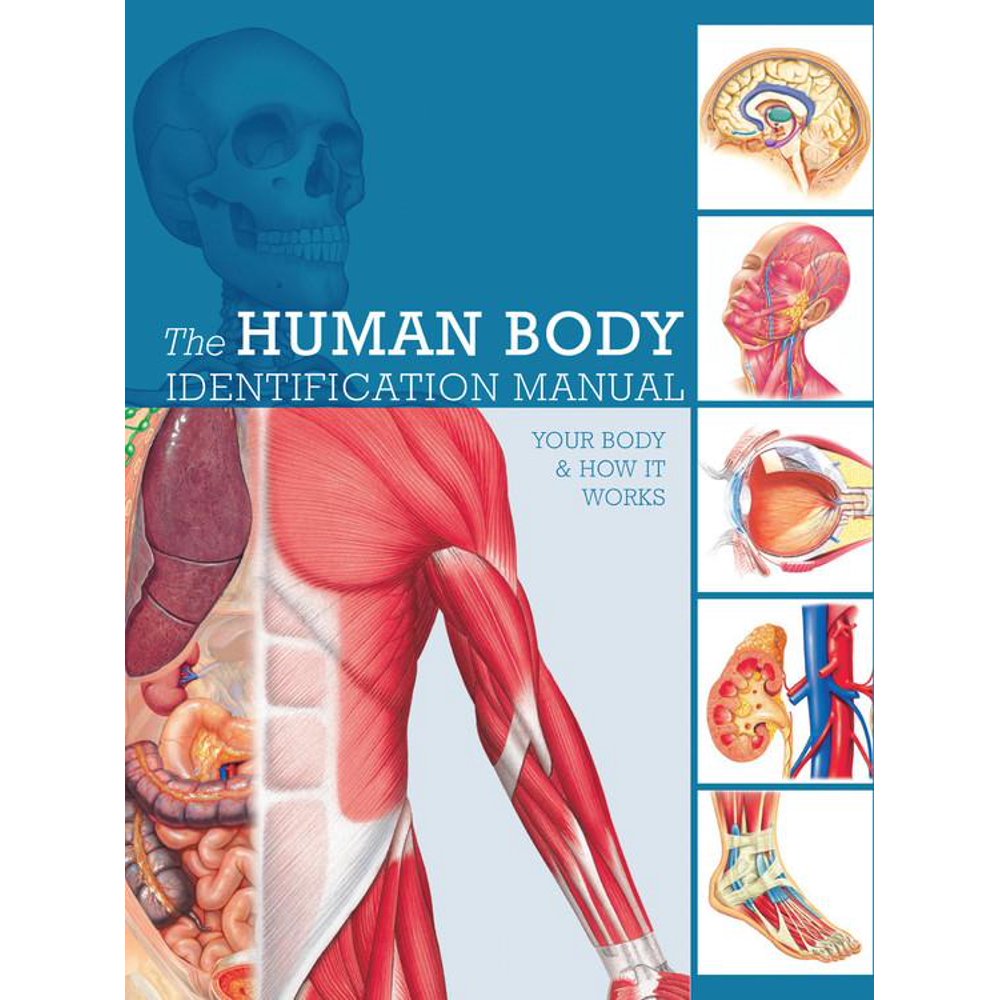 Human Body Identification Manual Your body and how it works Walmart