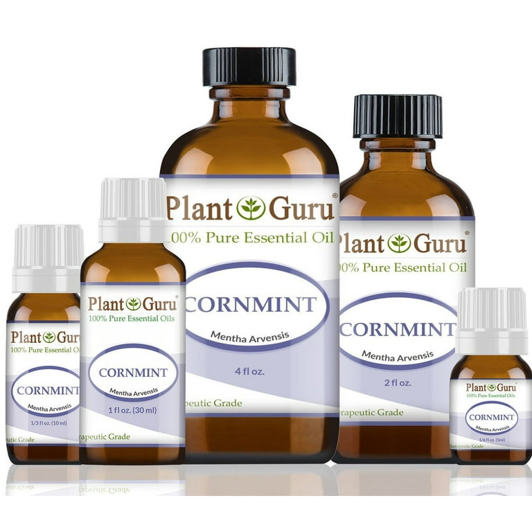 Plant Guru Cornmint Essential Oil 10ml, Japanese Peppermint, 100