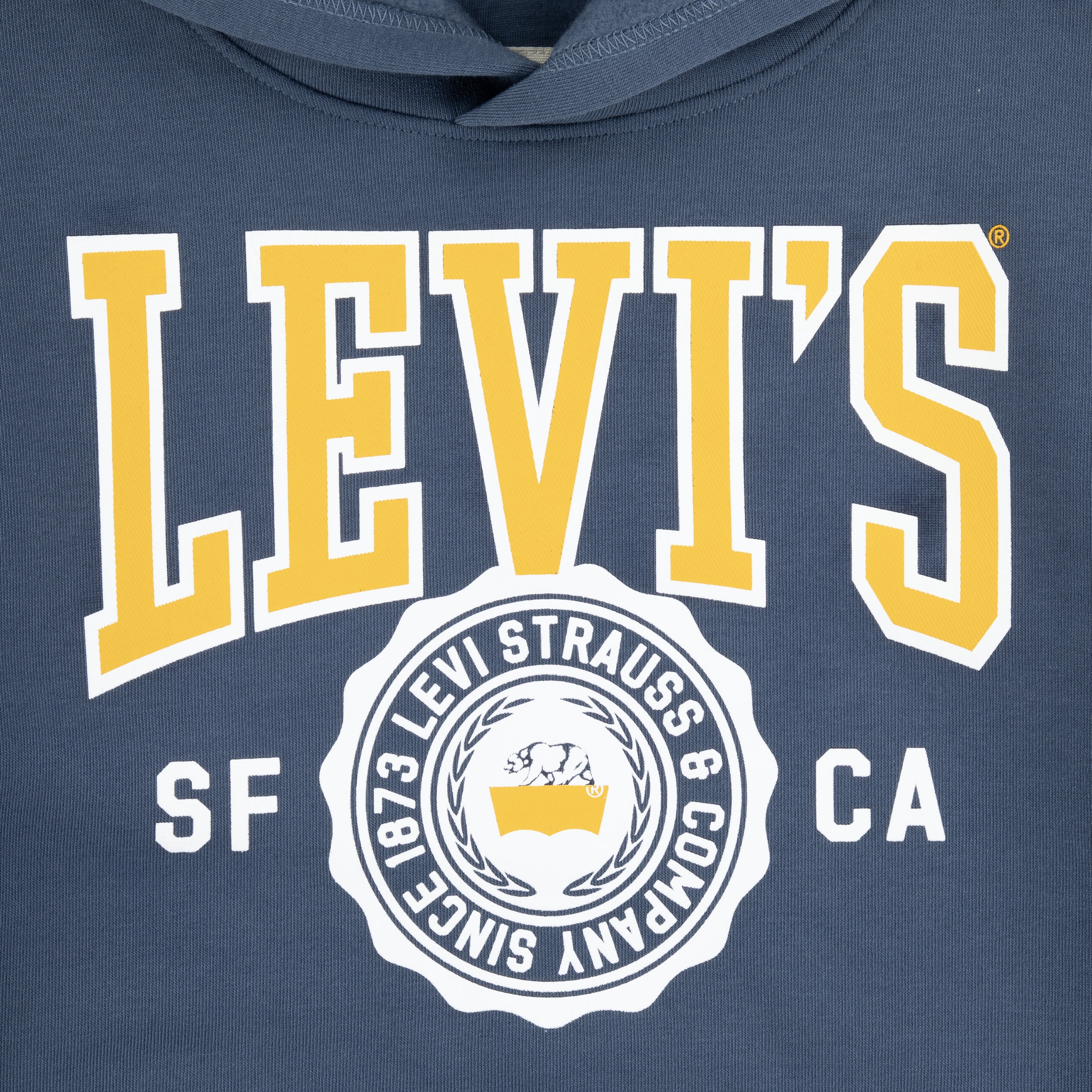 Levi's Boys Sporty Hoodie, Size 8-20