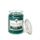 thumbnail image 1 of Vela Havenwick Bálsamo y Ámbar 650 mL Tarro Grande, 1 of 8