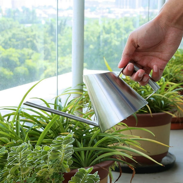 Regadera de acero inoxidable: regadera de metal con pico largo antiderrames, ideal para plantas de interior y exterior.