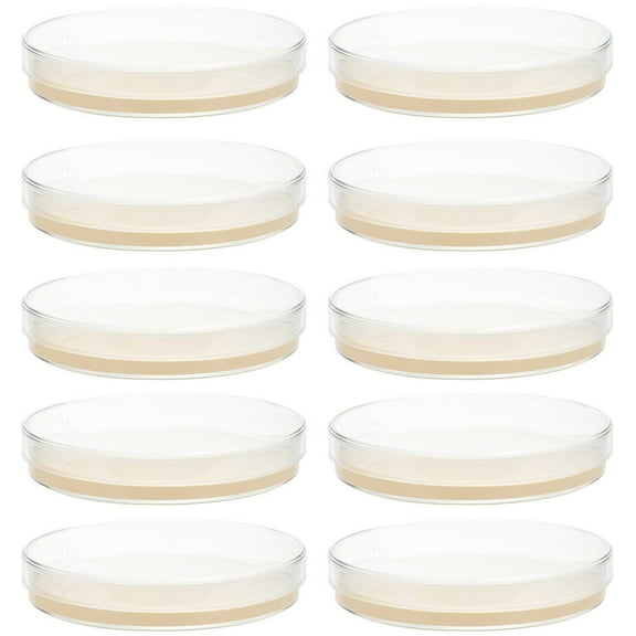 Soimiss 10Pcs Transparent Agar Plates for Stem Science Experiment Supplies