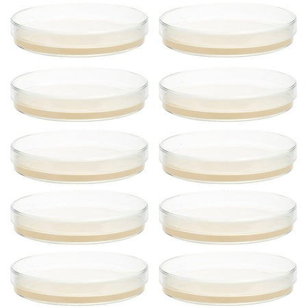 

BESTONZON 10pcs Prepoured Agar Plates Petri Dishes with Agar Science Experiment Supplies
