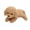 light brown, variant on Cute Teddy Dog Stuffed Animals,13'' Soft Cuddly Plush Puppy for Girlfriend & Kids