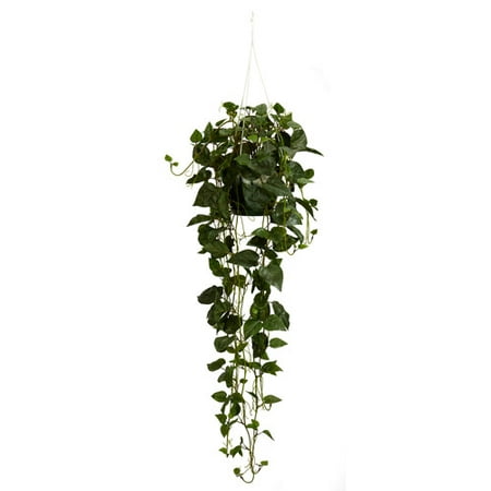 Nearly Natural Artificial Philodendron Hanging Basket Silk Plant, (Best Indoor Hanging Plants Low Light)