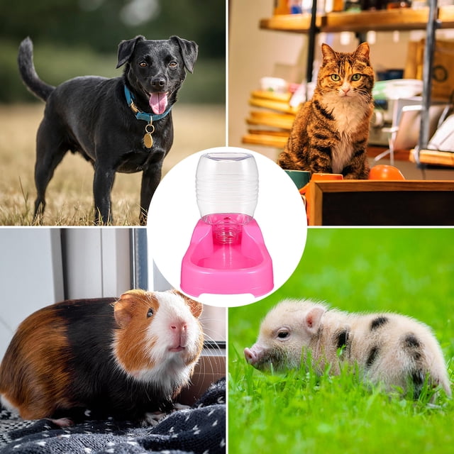 Raindrops Bebedero Automático Para Mascotas Rosa Práctico Y Para Hogar Y Tienda