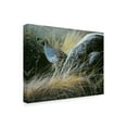 thumbnail image 2 of Trademark Fine Art 'California Quail' Canvas Art by Ron Parker, 2 of 3