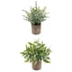thumbnail image 1 of 2 miniplantas artificiales en maceta para interior y exterior, adorno para boda Pequeño Eucalipto+Hojas, 1 of 9