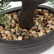 thumbnail image 2 of Árbol Bonsái Artificial Briful Junípero Verde de 36 cm para Decoración, 2 of 6