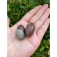 thumbnail image 5 of 1" Shiva Lingam Stone, Small Shiva Lingam Sacred Stones, 5 of 11