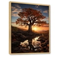 thumbnail image 2 of Designart "Tales Baobab in Africa III" African Floater Framed Canvas Print, 2 of 7
