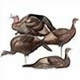 thumbnail image 3 of Dave Smith Decoys Turkey Flock, 3 of 4