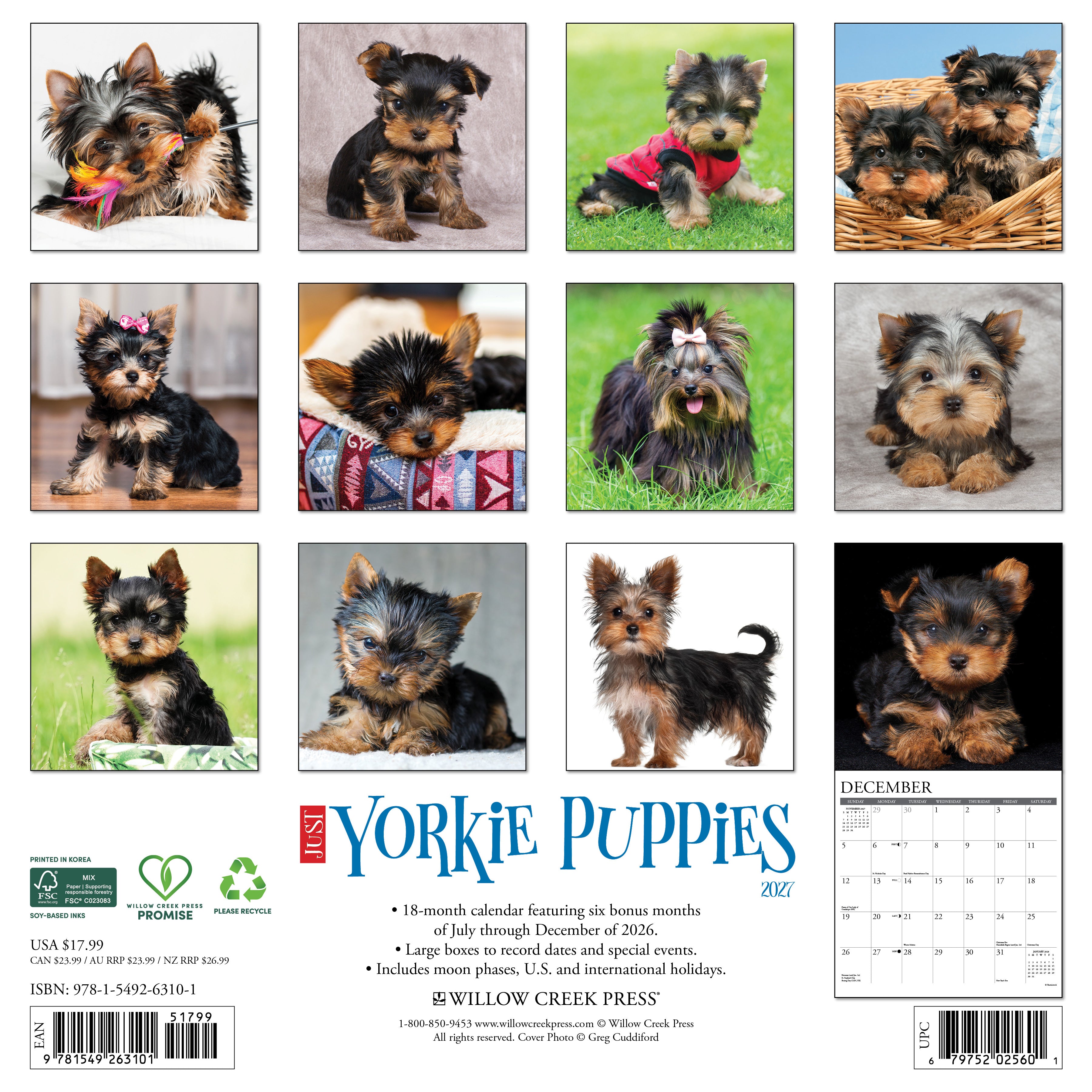 Willow Creek Press, Yorkie Puppies 2027 Wall Calendar