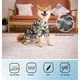 thumbnail image 5 of Ropa de verano para perro, camiseta de verano, fresca, transpirable, protector solar, chaleco, conjunto, disfraz para perros medianos y grandes, 5 of 5