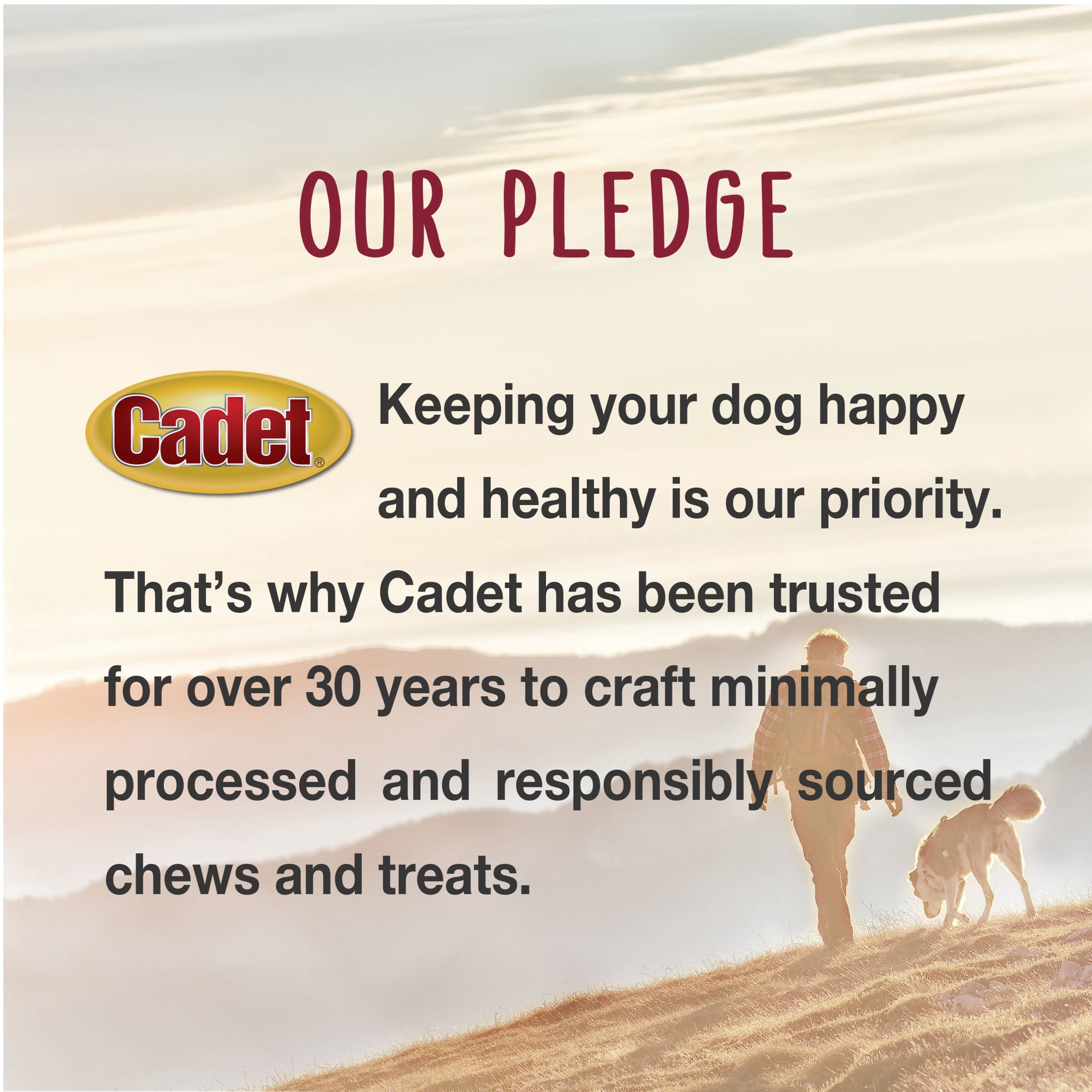 Cadet Bully Stick Dog Treats for Large Dogs, All Natural Beef Pizzle Dog Chews, 6 Ounce, 2 Count