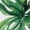 Black, variant on Tropical Plants T Shirts for Women Short Sleeve Cotton Crewneck T-Shirt Flowers Leaf Butterfly Wreath Tee Tops Casual Basic T-Shirts, XS-5XL Black S