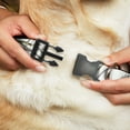 thumbnail image 2 of Mossy Oak Pet Collar, Dog Collar Plastic Buckle, Mossy Oak Country Roots Snowdrift Camo White, 9.5 to 13 Inches 1.0 Inch Wide, 2 of 6