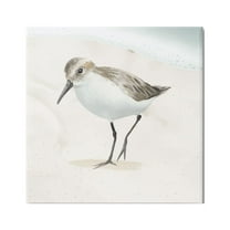 Stupell Industries Stepping Sandpiper Bird Ocean Shoreline Beach Scene Graphic Art Gallery Wrapped Canvas Print Wall Art, Design by Lucca Sheppard
