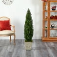 thumbnail image 3 of Nearly Natural 51in. Cedar Artificial Tree in Country White Planter (Indoor/Outdoor), 3 of 4