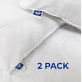 thumbnail image 4 of Paquete de Protector y Almohada - Queen Size Spring Air Kit, 4 of 7