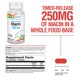thumbnail image 3 of Suplemento SOLARAY de niacina de liberación prolongada de 250 mg para la salud de la piel, 3 of 6