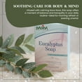 thumbnail image 5 of Madina Eucalyptus Soap Bars, Refreshing Cleansing Formula with Natural Oils, Invigorating Skincare, 3.5 oz Each, 6 Pack, 5 of 6
