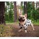 thumbnail image 3 of Ropa para perros y gatos CHAO traje abrigo suéter aguacate pato vaca talla S, 3 of 5