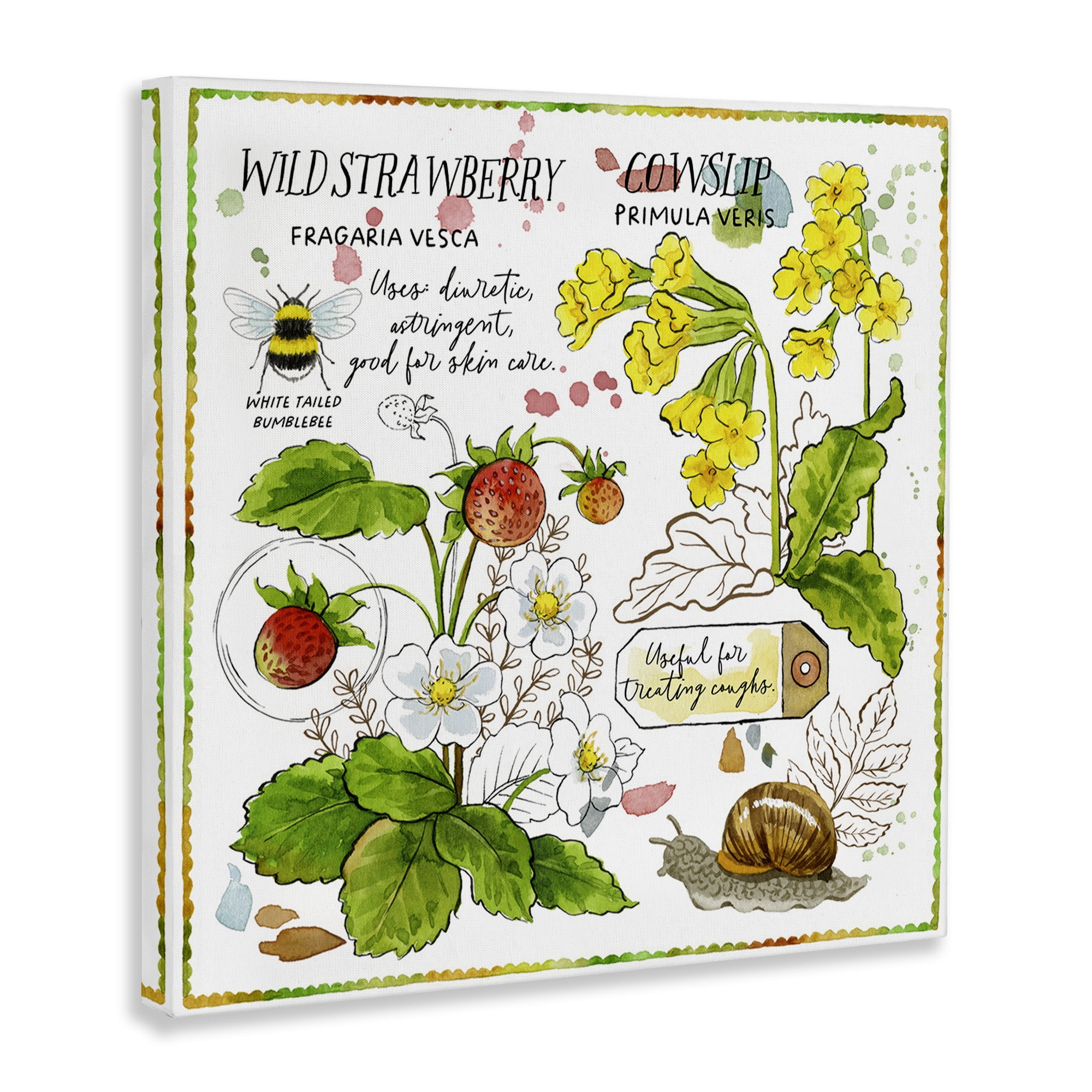 Stupell Industries Strawberry & Florals Uses Plants & Flowers Painting Wrapped Canvas Art Print Wall Art, 17 x 17