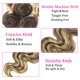thumbnail image 3 of Hair Bundles HertFeu P4/613 Rubio 30 cm 32 cm Body Wave 10A, 3 of 9