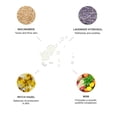 thumbnail image 4 of 100% PURE Lavender Niacinamide Pore Minimizer Tonique Facial Purify & Tone Skincare with Witch Hazel Balancing Face Mist Helps Calm Firm & Minimize The Look of Pores & Wrinkles, Vegan - 1.7 fl oz, 4 of 8