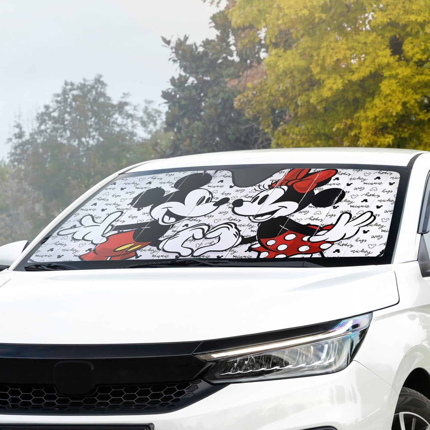 Plasticolor Disney Mickey and Minnie Mouse Love Windshield