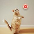 thumbnail image 5 of Juguete de peluche lindo con forma de fruta, juguete chirriante para gato, 4 Uds., 5 of 5