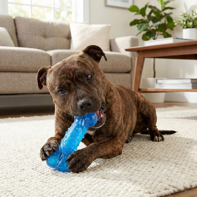SPOT Play Strong Scent-Sations Bacon Scented Bone Dog Toy  Durable TPR Chew  Toy for Aggressive Chewers up to 45 lbs, 6 in, Blue - Walmart.com