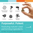 thumbnail image 3 of Dog Vitamins with Probiotics & Enzymes : Array Soft Chews : Daily All-in-One Vitamin Treats for Dogs, 3 of 6