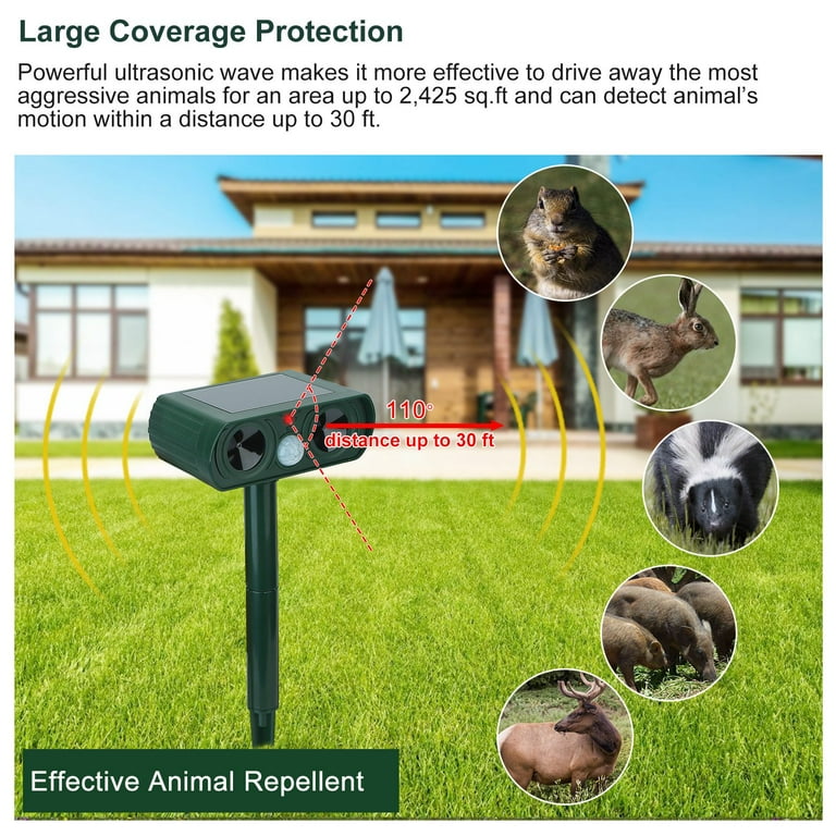 Eliminate Mice Squirrels And Chipmunks With This Powerful - Temu