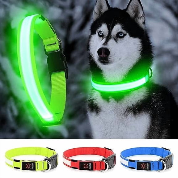LED Dog Collar - Light Up,Waterproof,Adjustable Flashing,Rechargeable Visibility & Safety for Dogs (Green,Large)