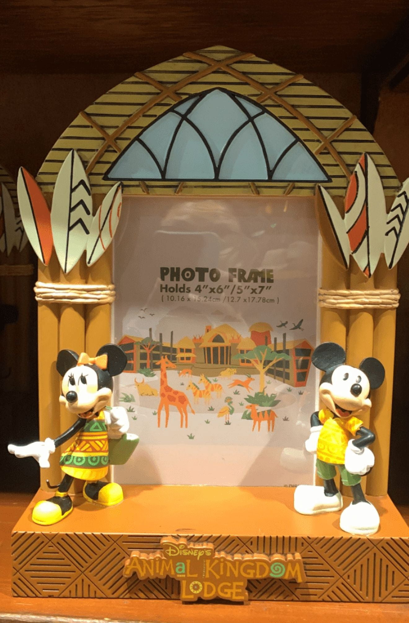 Disney - RIKO出品 DVD純正ケース付き13点セット　画像2枚目参照 Disney Animal Kingdom Lodge Minnie and Mickey Mouse Photo Frame