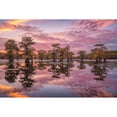 thumbnail image 3 of Podt, Martin 18x13 Black Modern Framed Museum Art Print Titled - Magnificent Sunset in the Swamps, 3 of 5
