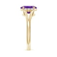 thumbnail image 3 of ANGARA Natural Oval 1.6 ct Amethyst with Diamond Collar Solitaire Ring in 14K Yellow Gold for Women (Size-9x7mm) | February Birthstone, Anniversary, Jewelry Gift for Women | Natural Amethyst Ring, 3 of 10