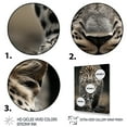 thumbnail image 3 of Designart "Portrait Silent Cheetah Stalk III" Animals Floater Framed Canvas Art Print, 3 of 7